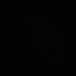 Meet your Posher, Bailey